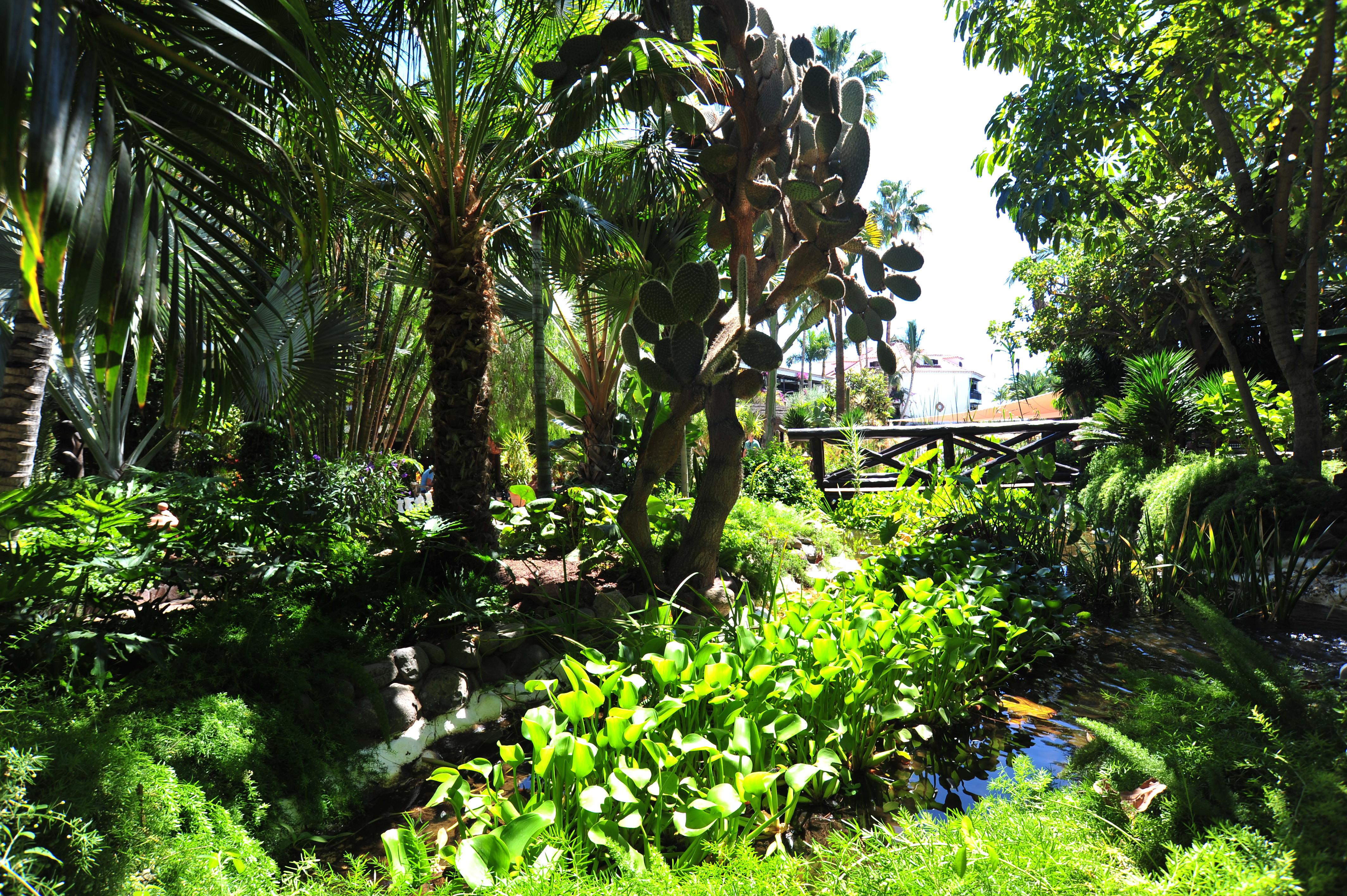 Parque Tropical 4* Playa del Inglés